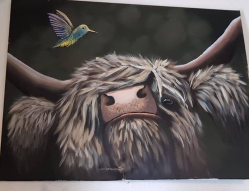 Highland cow painting with a hummingbird