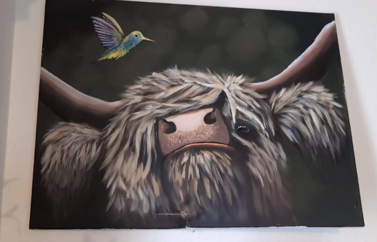 Highland cow painting with a hummingbird